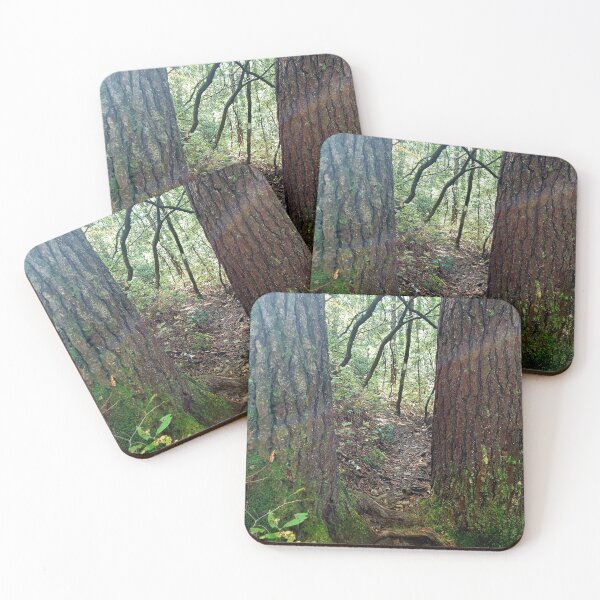Item preview, light thru the trees designed and sold by rainingcrow.