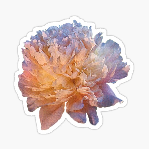 Item preview, Peachy purple peony designed and sold by promisesarelies.