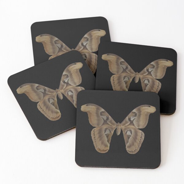 Item preview, Atlas Moth designed and sold by Lori Clough.