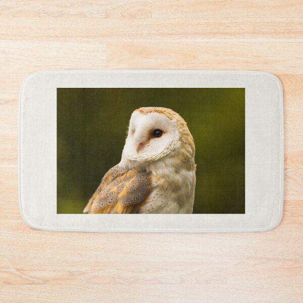 Item preview, Barn Owl Profile designed and sold by Jane Stanley Photography.