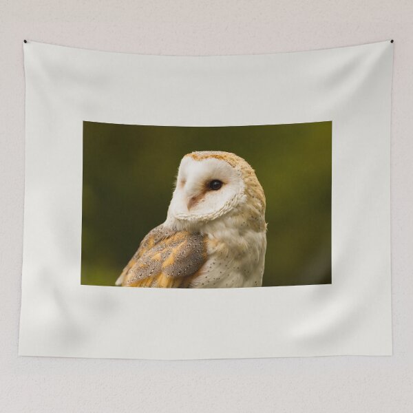 Item preview, Barn Owl Profile designed and sold by Jane Stanley Photography.