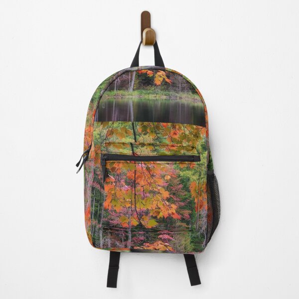Item preview, Gorgeous autumn color at Ransom Lake Preserve designed and sold by J Rier Photography.
