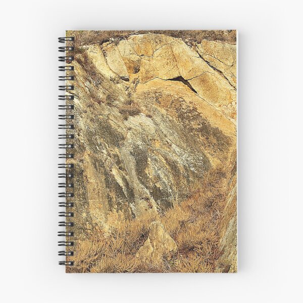 Item preview, Sandstone Rock Face in Point Lobos designed and sold by Martha Sherman.