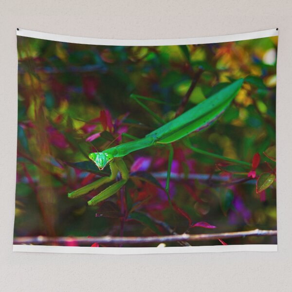 Item preview, Praying Mantis designed and sold by Kitkatfoxx.