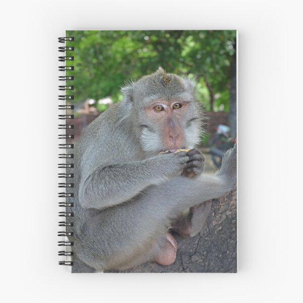 Item preview, Crab-eating Macaque designed and sold by V1mage.