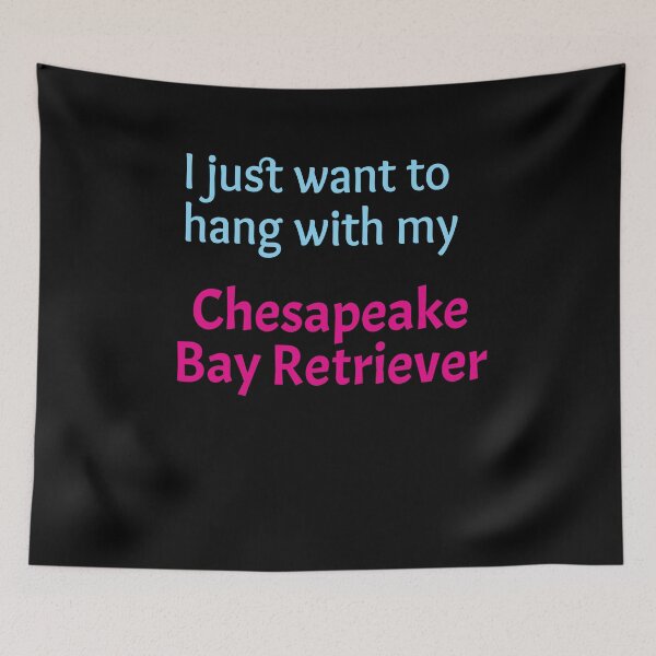 Item preview, Retriever de la bahía de Chesapeake, solo quiero pasar tiempo con mi Retriever de la bahía de Chesapeake designed and sold by amrmab.