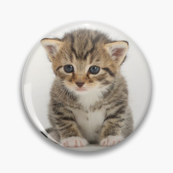 Item preview, Cute Tabby Kitten designed and sold by ScienceSource.