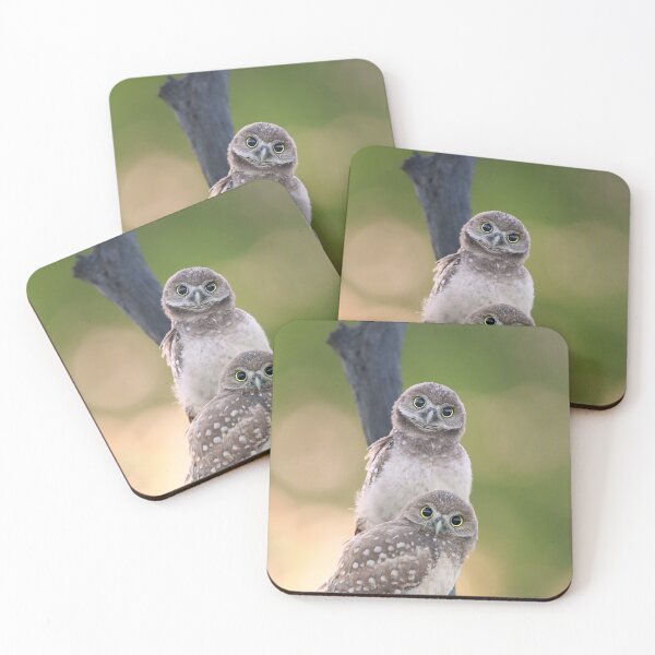Item preview, Burrowing Owlets designed and sold by mlorenz.