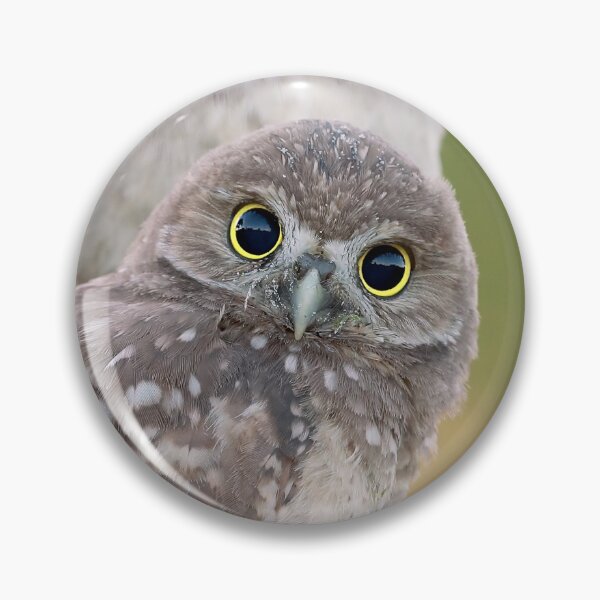 Item preview, Burrowing Owlets designed and sold by mlorenz.