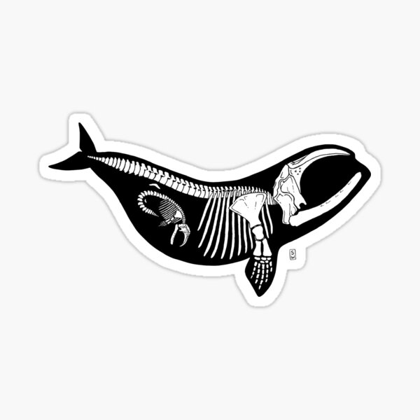 Item preview, Right Whale Momma designed and sold by raudmarsvin.