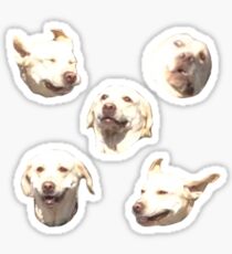FUNNY DOG STICKER PACK Sticker