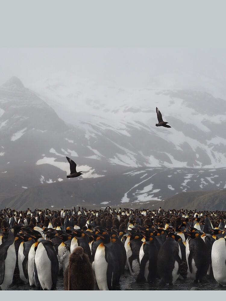 Colony Of Kings by AntarcticShop