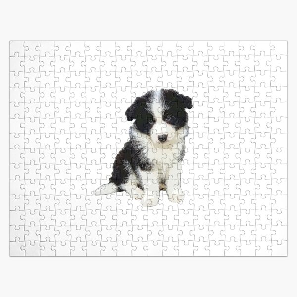 Border Collie With Toys Jigsaw Puzzle