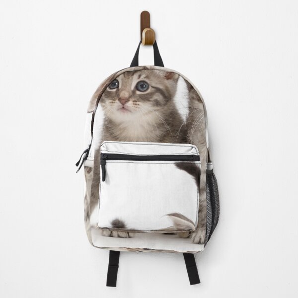 Item preview, Three Silver Tabby Kittens designed and sold by ScienceSource.