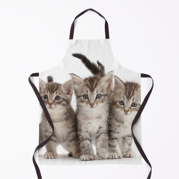 Item preview, Three Silver Tabby Kittens designed and sold by ScienceSource.