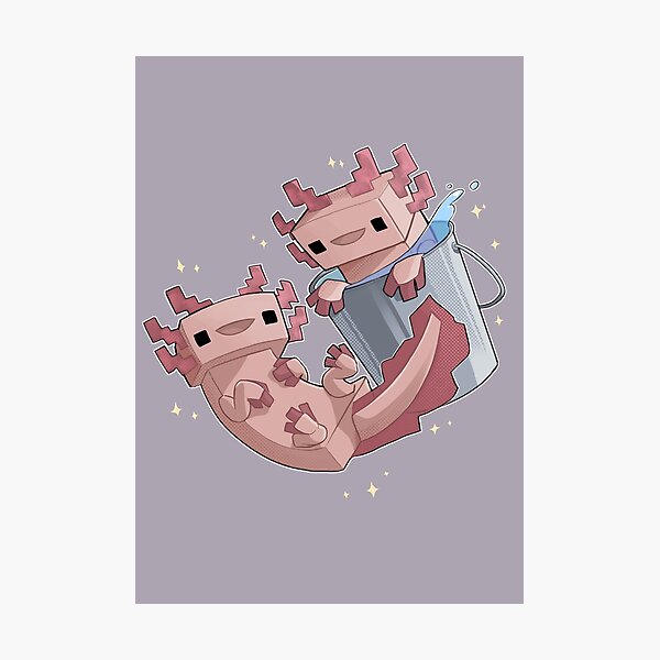 Block Axolotls Photographic Print