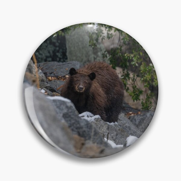 Item preview, Yosemite Brown Bear designed and sold by PsychoAlien.com.