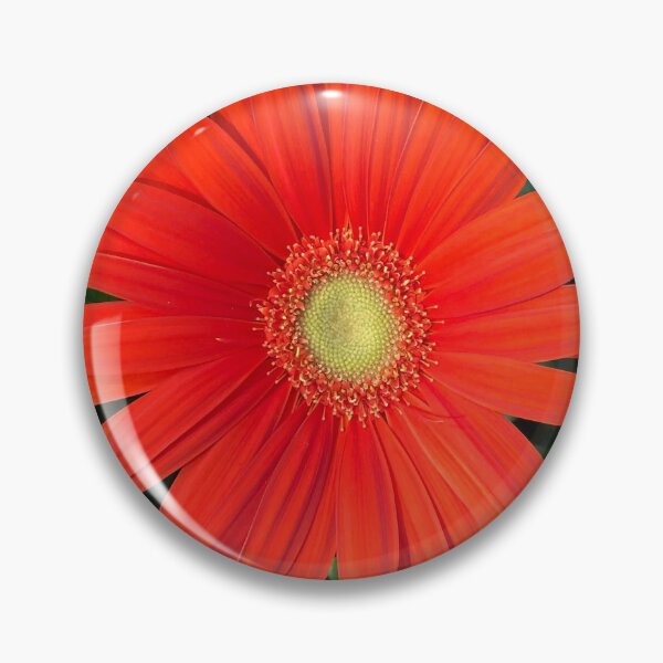 Item preview, Orange gerber daisy  designed and sold by tammyschroder.