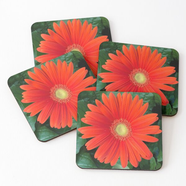 Item preview, Orange gerber daisy  designed and sold by tammyschroder.