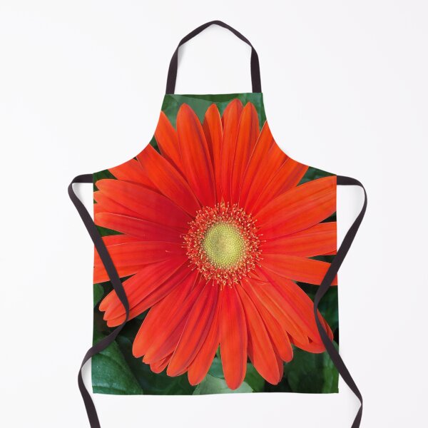 Item preview, Orange gerber daisy designed and sold by tammyschroder.