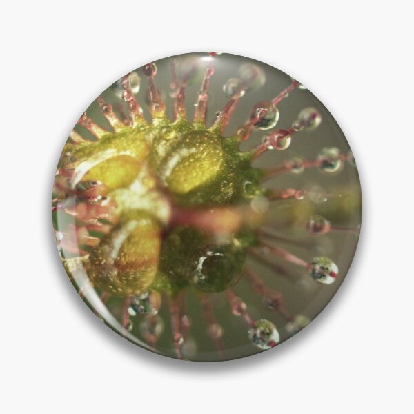 Item preview, Bug Catcher designed and sold by Ben Loveday.