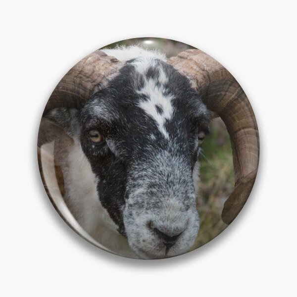 Item preview, Here's Looking at You designed and sold by Marylou Badeaux.