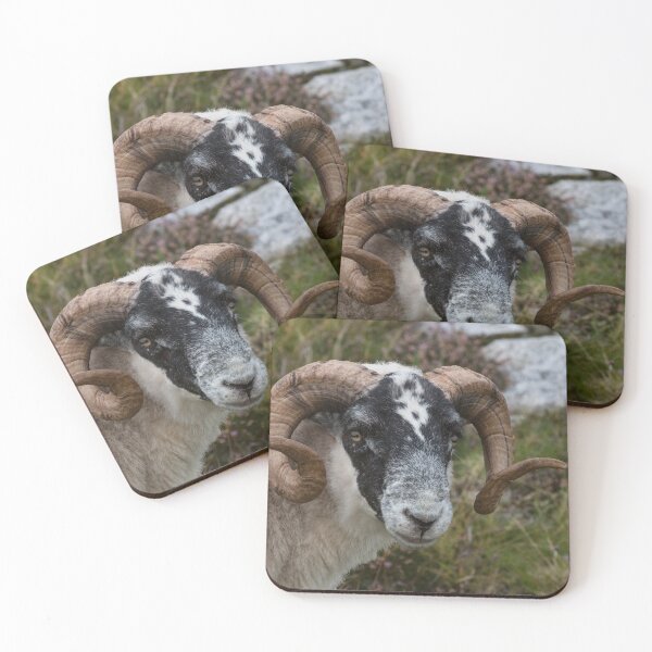 Item preview, Here's Looking at You designed and sold by Marylou Badeaux.
