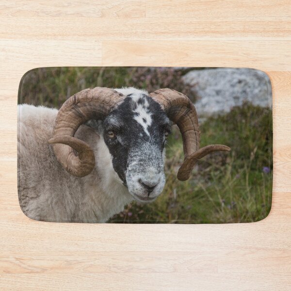 Item preview, Here's Looking at You designed and sold by Marylou Badeaux.