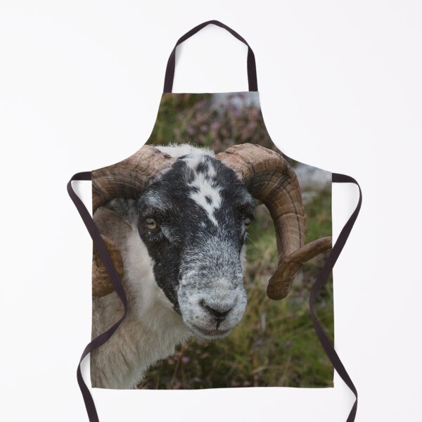 Item preview, Here's Looking at You designed and sold by Marylou Badeaux.