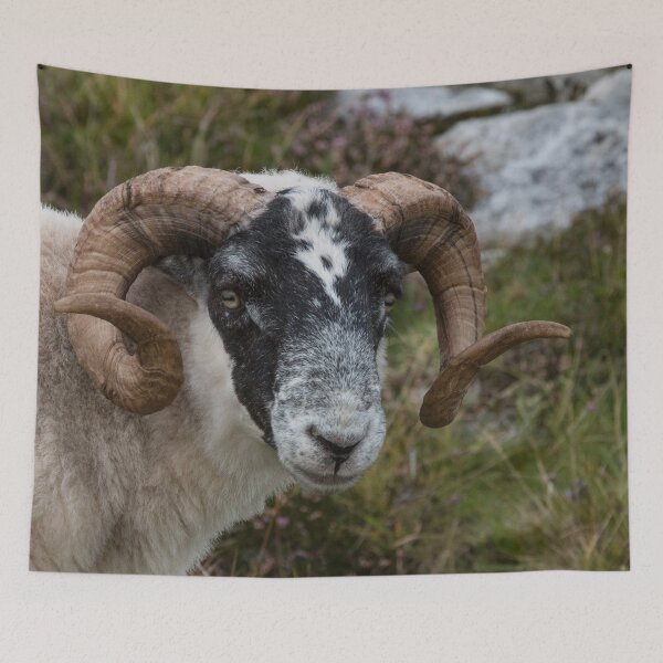 Item preview, Here's Looking at You designed and sold by Marylou Badeaux.