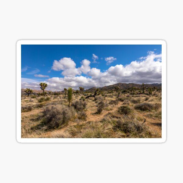 Item preview, Joshua Tree Series 7284 designed and sold by PicsULove.