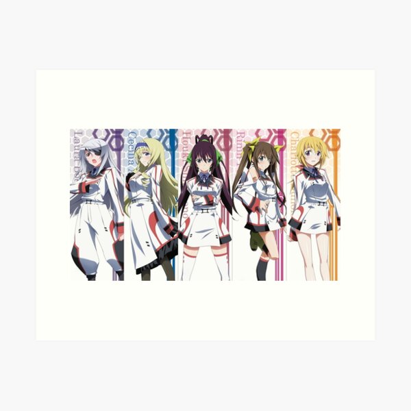 Infinite Stratos 1 Art Board Print for Sale by Dylan5341