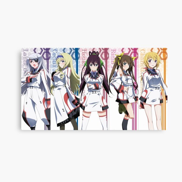 Infinite Stratos 1 Art Board Print for Sale by Dylan5341