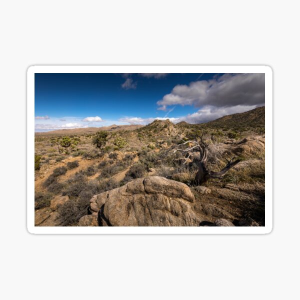 Item preview, Joshua Tree series 7325 designed and sold by PicsULove.