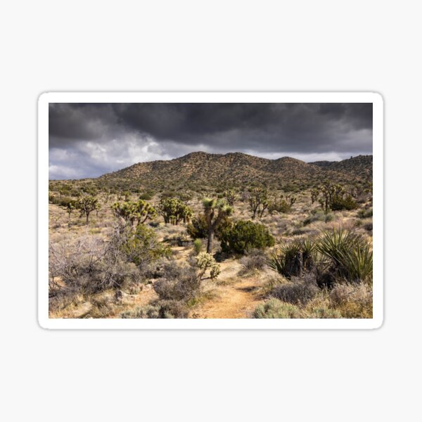 Item preview, Joshua Tree series 7338 designed and sold by PicsULove.