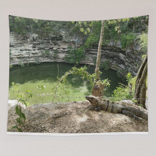 Item preview, Iguana and Cenote designed and sold by madagan11.