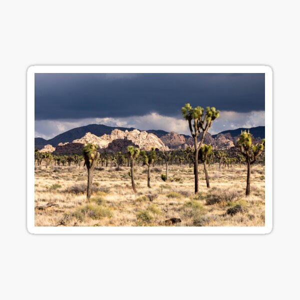 Item preview, Joshua Tree series 7393 designed and sold by PicsULove.