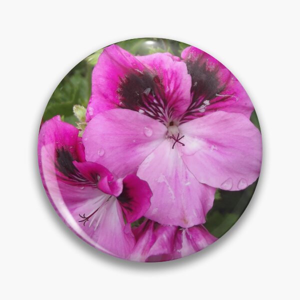 Item preview, Pink pelargonium designed and sold by greentiger1.