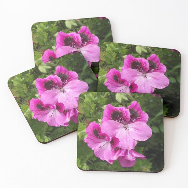 Item preview, Pink pelargonium designed and sold by greentiger1.
