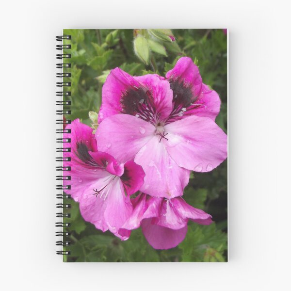 Item preview, Pink pelargonium designed and sold by greentiger1.