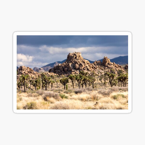 Item preview, Joshua Tree series 7397 designed and sold by PicsULove.