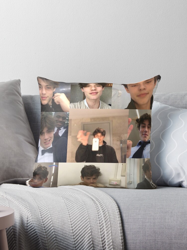 louis partridge collage Throw Pillow for Sale by delimetal