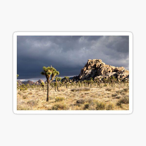 Item preview, Joshua Tree series 7404 designed and sold by PicsULove.