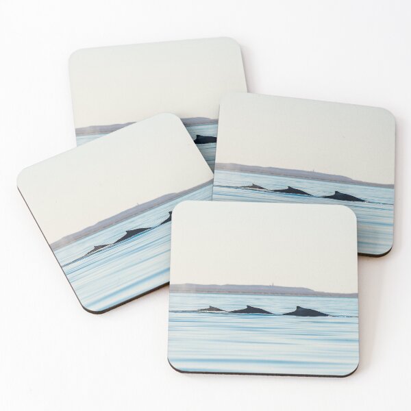 Item preview, Humpback Whales Exmouth Gulf  designed and sold by Jesshaddenphoto.
