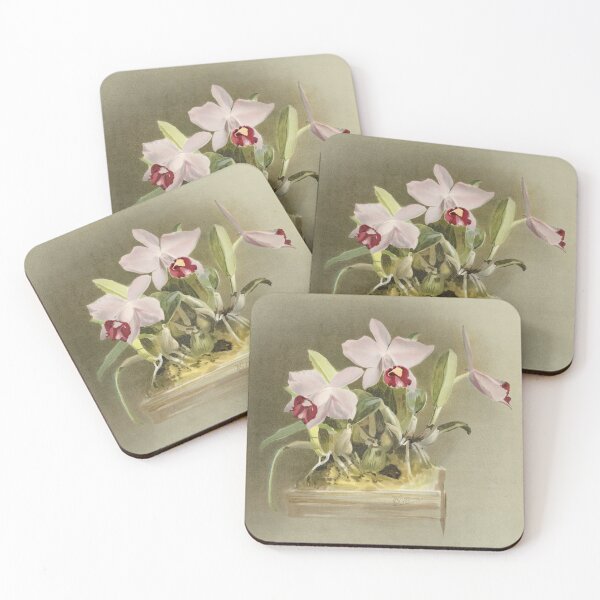 Item preview, Reichenbachia: Orchids Illustrated and Described designed and sold by EsotericBotanic.