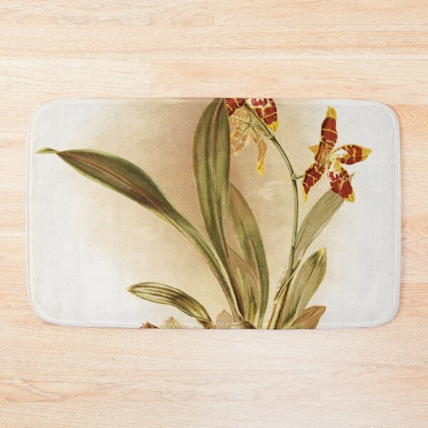 Item preview, Reichenbachia: Orchids Illustrated and Described designed and sold by EsotericBotanic.