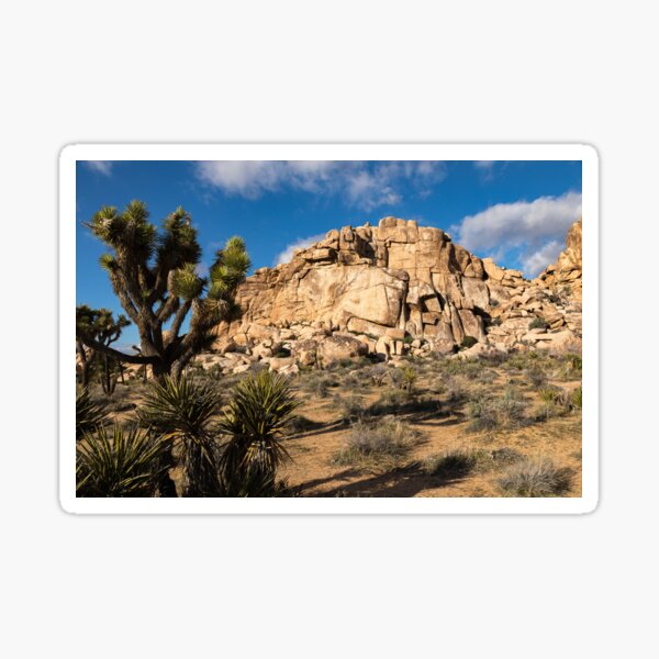 Item preview, Joshua Tree series 7419 designed and sold by PicsULove.