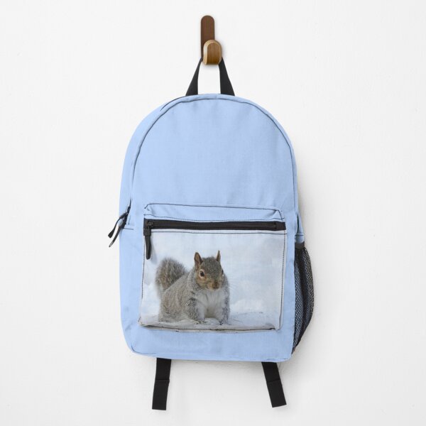 Item preview, Winter Squirrel designed and sold by Autumn Seas Photography.