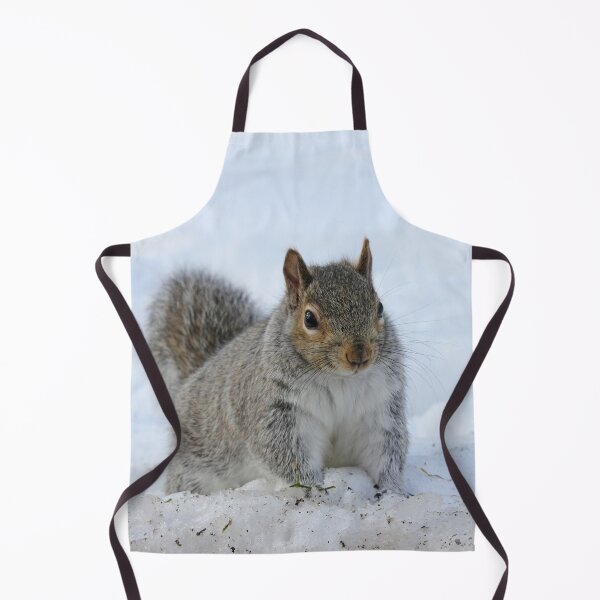 Item preview, Winter Squirrel designed and sold by Autumn Seas Photography.