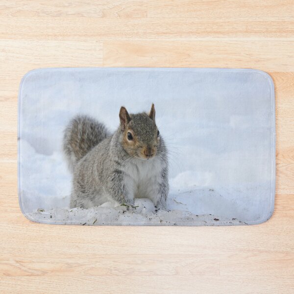 Item preview, Winter Squirrel designed and sold by Autumn Seas Photography.